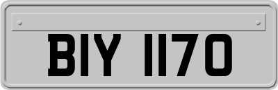 BIY1170