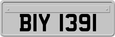 BIY1391