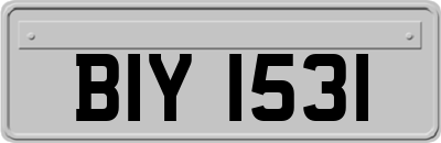 BIY1531