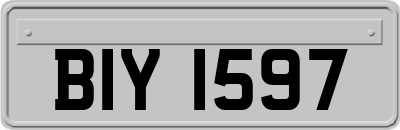 BIY1597