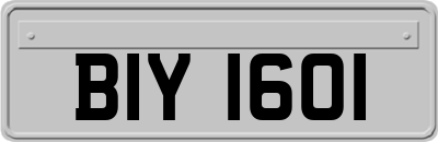 BIY1601