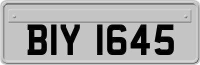 BIY1645