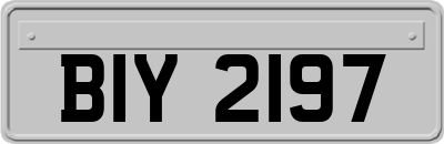 BIY2197
