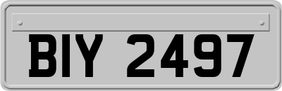 BIY2497