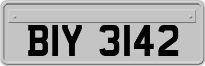 BIY3142