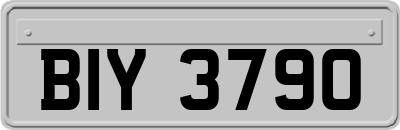 BIY3790