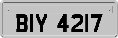 BIY4217