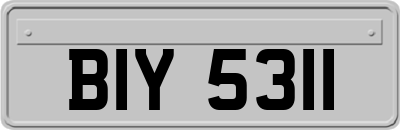 BIY5311