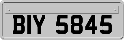 BIY5845