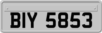 BIY5853