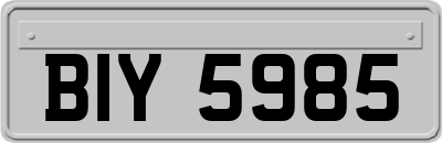 BIY5985