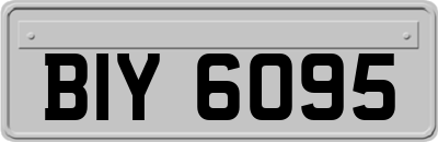 BIY6095