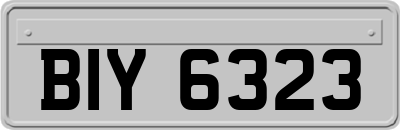 BIY6323