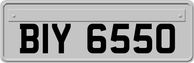 BIY6550