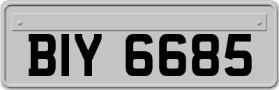 BIY6685