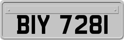 BIY7281