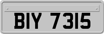 BIY7315