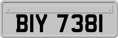 BIY7381