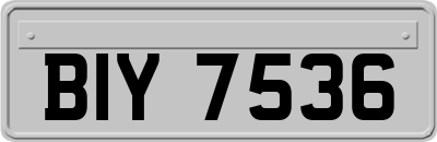 BIY7536