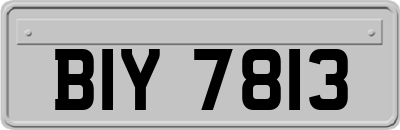 BIY7813
