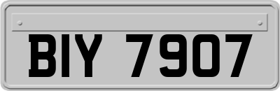 BIY7907