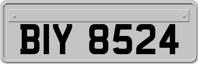 BIY8524