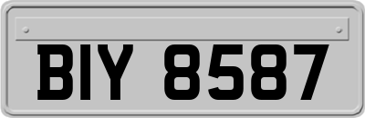 BIY8587