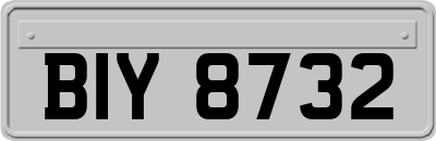BIY8732