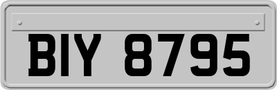 BIY8795