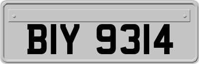 BIY9314