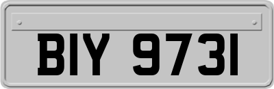 BIY9731