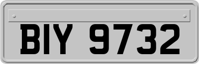 BIY9732