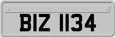 BIZ1134