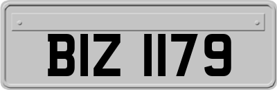 BIZ1179