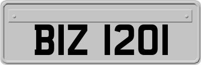 BIZ1201