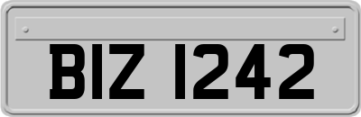 BIZ1242