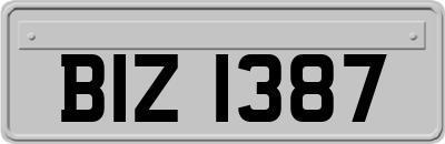 BIZ1387