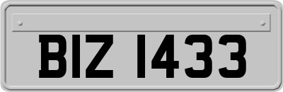 BIZ1433
