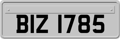 BIZ1785
