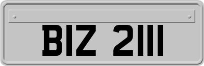 BIZ2111