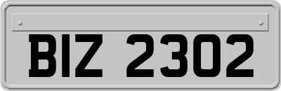 BIZ2302