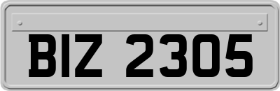 BIZ2305
