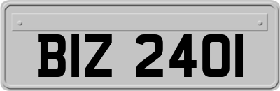 BIZ2401