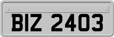 BIZ2403