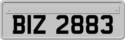 BIZ2883