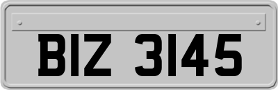 BIZ3145