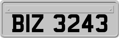 BIZ3243