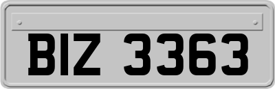 BIZ3363