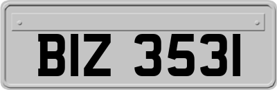 BIZ3531