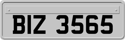 BIZ3565